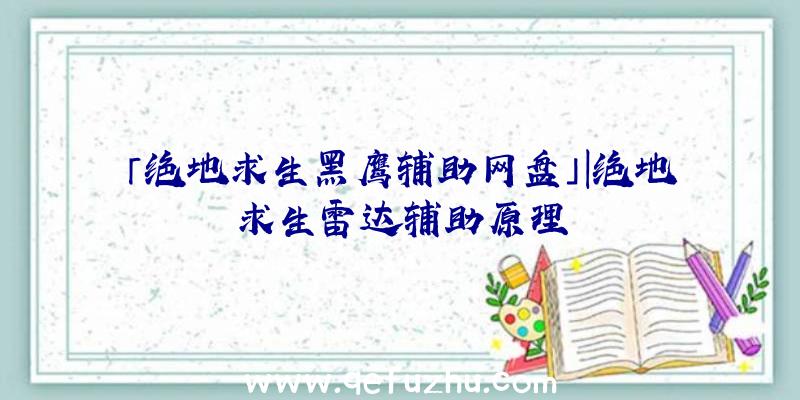 「绝地求生黑鹰辅助网盘」|绝地求生雷达辅助原理